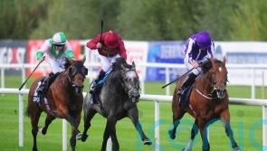 Memories of ‘phenomenal’ Roaring Lion still burn brightly for Murphy