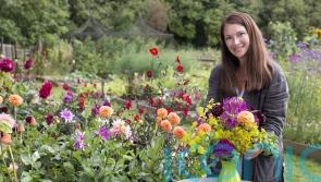 TV gardener Rachel de Thame on beautiful blooms for autumn and winter