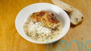 Jay Rayner’s chicken in mustard sauce recipe