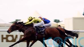 Hannon elects to draw stumps with Rosallion for this year