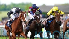 Ramatuelle booked in for Foret action