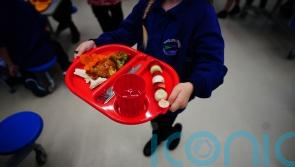 All primary pupils should receive free school lunches, say health experts