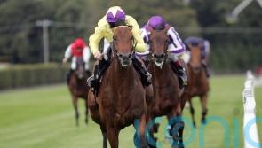 Oxx still proud to be on Irish Champion Stakes roll of honour