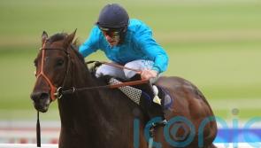 ‘Superstar’ Brown Panther will always be remembered fondly