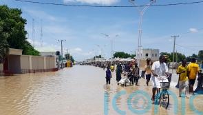 Dam collapse in Nigeria sweeps deadly zoo reptiles into flooded communities