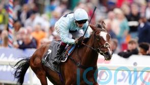 Scenic viewed as leading Park Hill contender by Walker
