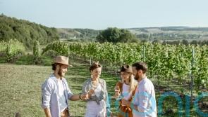 How to know the style of wine that’s right for you