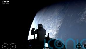 Earth ‘looks like a perfect world’, billionaire says on first private spacewalk