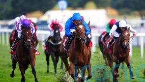 Desert Flower blooms in impressive May Hill success