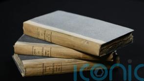 Minister supports calls to address issue of gender bias in English literature