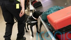 Almost 170m euro in drugs seized by Revenue this year