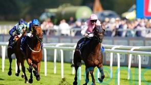 Sweet success for consistent Gosden stayer in Doncaster Cup