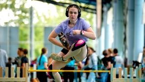 Frankfurt hosting first German hobby horsing championship