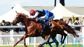 Resurgent Kyprios looking to snatch back Irish St Leger title