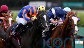 ‘Proper warrior’ Economics passes big test with Irish Champion Stakes glory