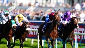 Jan Brueghel digs deep to give O’Brien an eighth St Leger