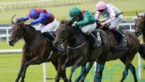 Hanalia sparkles with last-to-first Blandford victory