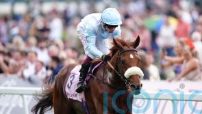 Giavellotto likely done for the term after Irish St Leger third