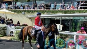 Chancellor team eyeing Royal Lodge after Champagne problems