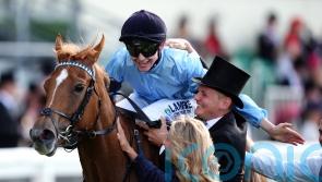 Soprano could be pitched at Keeneland contest next