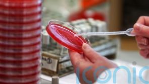 More than 39m could die from antibiotic-resistant infections by 2050 – study