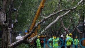 Two dead as Typhoon Bebinca hits east China before downgrading to tropical storm