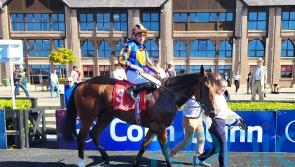 Ryan Moore records first victory at Punchestown