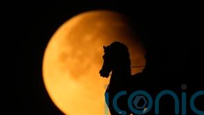 In pictures: Skywatchers enjoy partial eclipse and supermoon