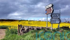 Man, 80, dies in car crash