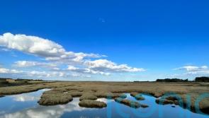 Coastal saltmarsh plays role in carbon storage, flood prevention and wildlife