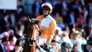 Paris the next stop for Meehan’s Jayarebe