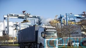 Appointments to Windsor Framework panel welcomed