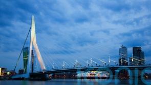 One person dead and another hurt in stabbing in Rotterdam, say police