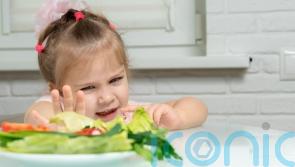 Picky eating is largely genetic and peaks at the age of seven, scientists say