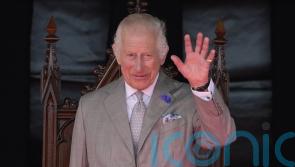 King discovers how innovative Scottish project tackles scourge of violence