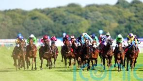 Portland hero Affair hunting Gold again at Ayr