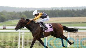 Witness Stand makes Tom Clover’s day at Newbury