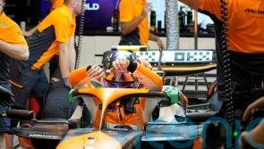 Lando Norris fastest as final Singapore practice disrupted by 3ft monitor lizard