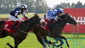 Sky Majesty reigns for Haggas at Ayr