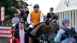 Levi proves Lethal as Burke bosses Ayr Gold Cup