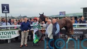 Zaynab one to note following winning start at Listowel