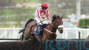 The Real Whacker ready for Kerry National test