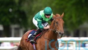 Whistlejacket in search of more Group One honours