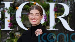 Rosamund Pike to make National Theatre debut as boss Norris marks final season