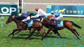 Fabre confident Sevigne can sparkle over Arc trip