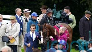 Facteur Cheval has Champions Day and Breeders’ Cup Classic options