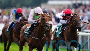 Clover backing Al Nayyir to bloom in Rose Bowl