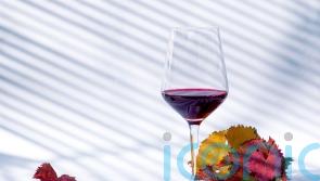 6 rich red wines for Sunday roasts