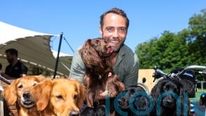 James Middleton: William and Kate’s mental health work helped me move forward