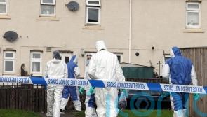 Man charged with fatal XL bully attack